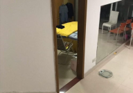 国际花园小姐姐,打造绿色生活新风尚