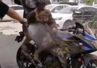 小姐姐坐机车摔死视频,小姐姐骑行机车不幸摔亡，视频曝光引发关注